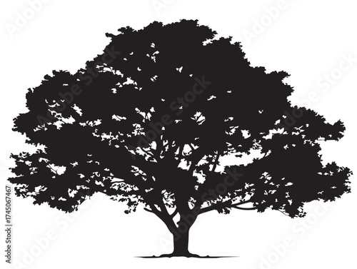 Stunning tree with wide canopy vector illustration in line art