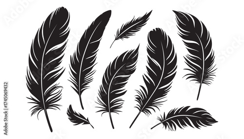 Feathers black silhouettes isolated on white background. Silhouette of bird feather.Vector illustration