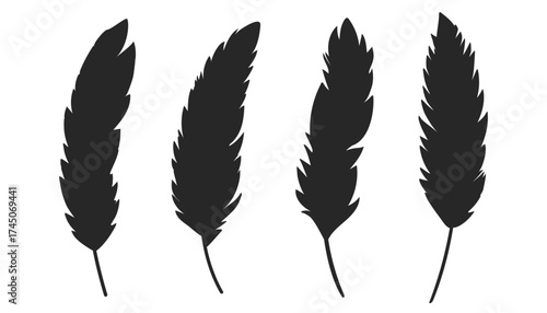 Feathers black silhouettes isolated on white background. Silhouette of bird feather.Vector illustration