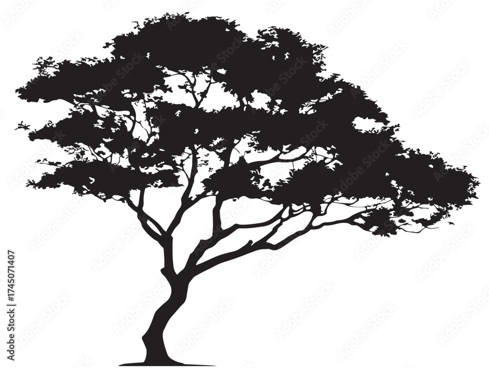 Fototapeta premium Detailed Silhouette of Tree with Moss 2D Vector