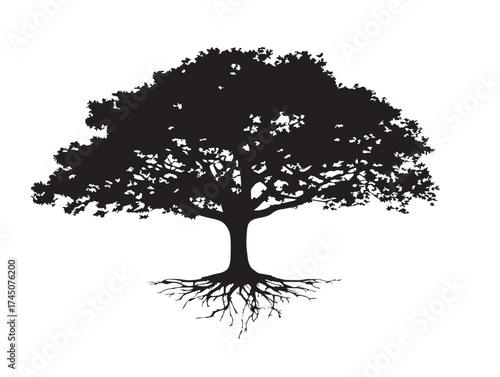 Tree with Root Cavern Silhouette Elegant 2D Line Art Design
