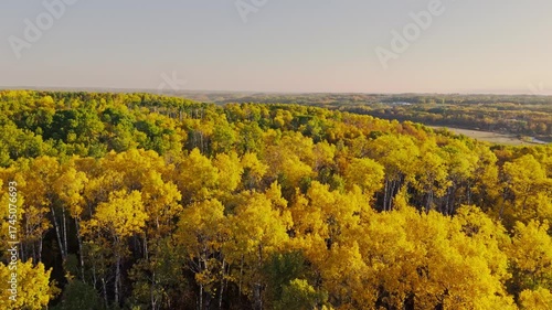 Scenic drone footage showing autumn trees overlooking open farmland in Manitoba, Canada. Golden foliage, hay bales, and rolling hills under a warm evening sky.