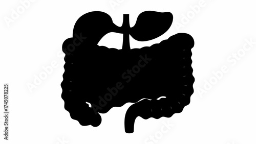 Stylized anatomical silhouette representing human digestive organs in bold black