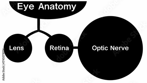 Clear diagram of eye anatomy showing lens, retina, and optic nerve for medical education
