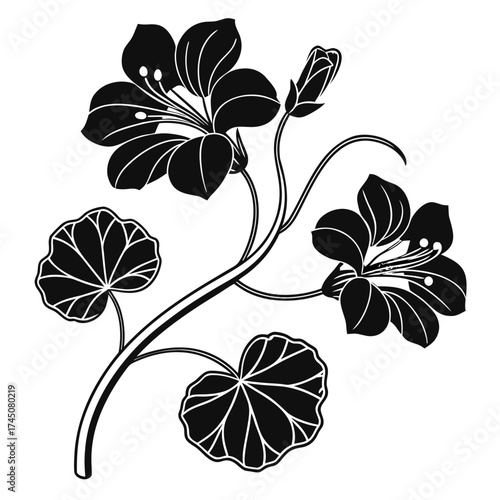 Elegant black and white floral illustration with leaves and buds