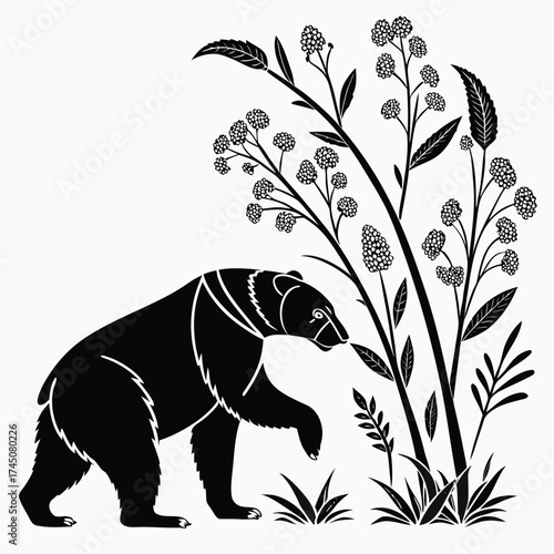 Black bear walking through wildflowers and grass