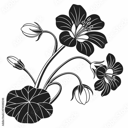 Elegant black and white floral illustration with buds and leaves