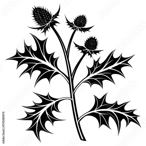 Black silhouette of a thistle plant with spiky leaves and flower heads