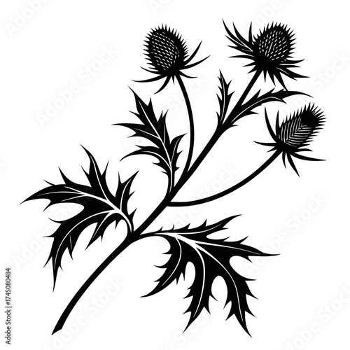 Black silhouette of a thistle plant with spiky flowers and leaves