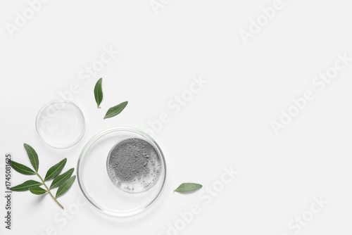 Petri dishes with powder and plant leaves on grey background