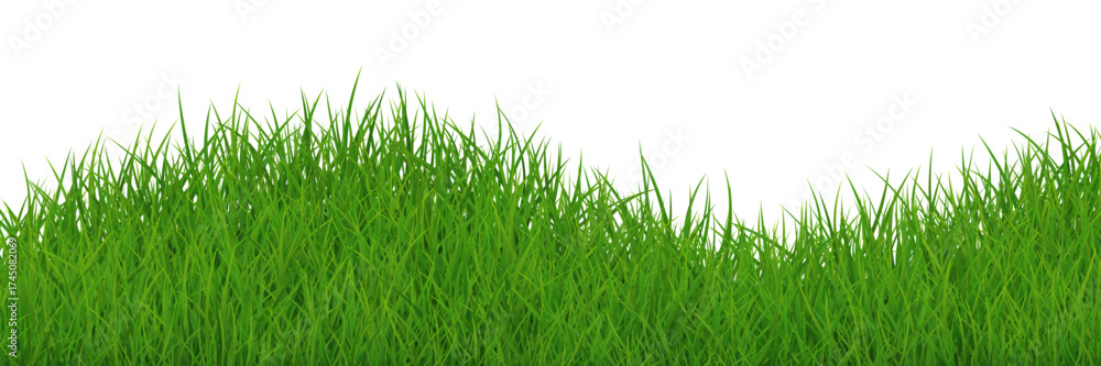 Fototapeta premium Hill green grass border. Vector, png