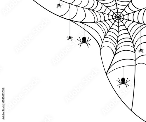 spider and web
