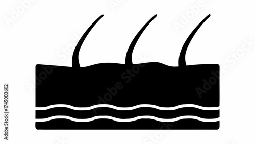 Detailed cross section of skin layers with emerging hair follicles for medical or cosmetic concepts