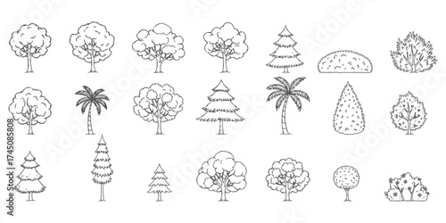 CAD tree line minimal style, set of graphics trees elements outline symbol for architecture and landscape design drawing. Vector illustration