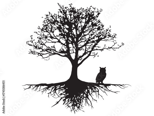 Artistic tree roots and owl design 2D vector line art inspiration  