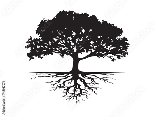 Nature harmony tree roots and river 2D vector line art illustration  