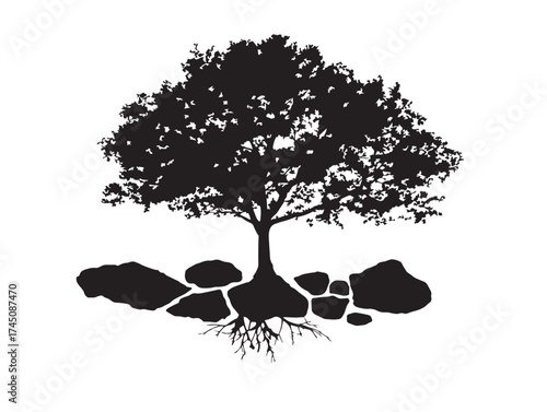 Εκτύπωση καμβά Tree roots entwined with rocks 2D vector line art nature drawing