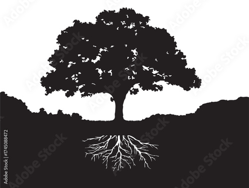 Calm valley and tree roots scene 2D vector line art artwork  