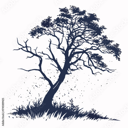 Silhouette of a large tree with sparse leaves and grass at its base
