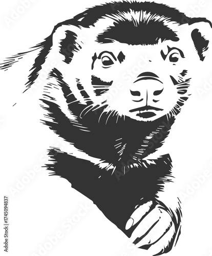 Intense portrait of a wolverine/badger in a distressed grunge/engraving style. The monochrome vector features dynamic brushstrokes. Perfect for apparel, extreme sports logos, and edgy merchandise.