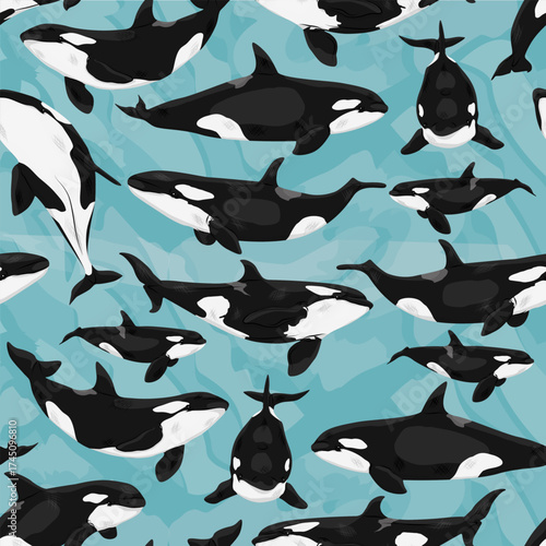 Seamless pattern with killer whales Orcinus orca. Adult killer whales and their babies. Realistic vector animal.