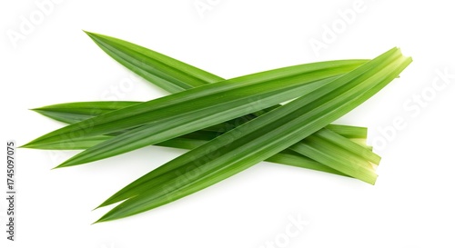 Stacked bright green pandan leaves with distinct veins on a clean white backdrop