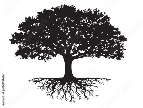 Underground Tree Roots Spreading in Natural Soil 2D Vector Line Art