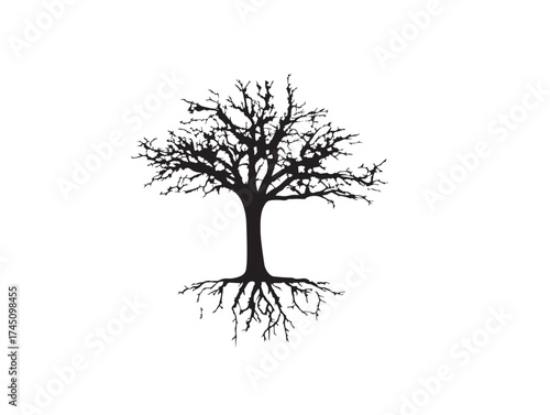 Elegant Tree With Shallow Trunk Structure 2D Vector Line Art Illustration  