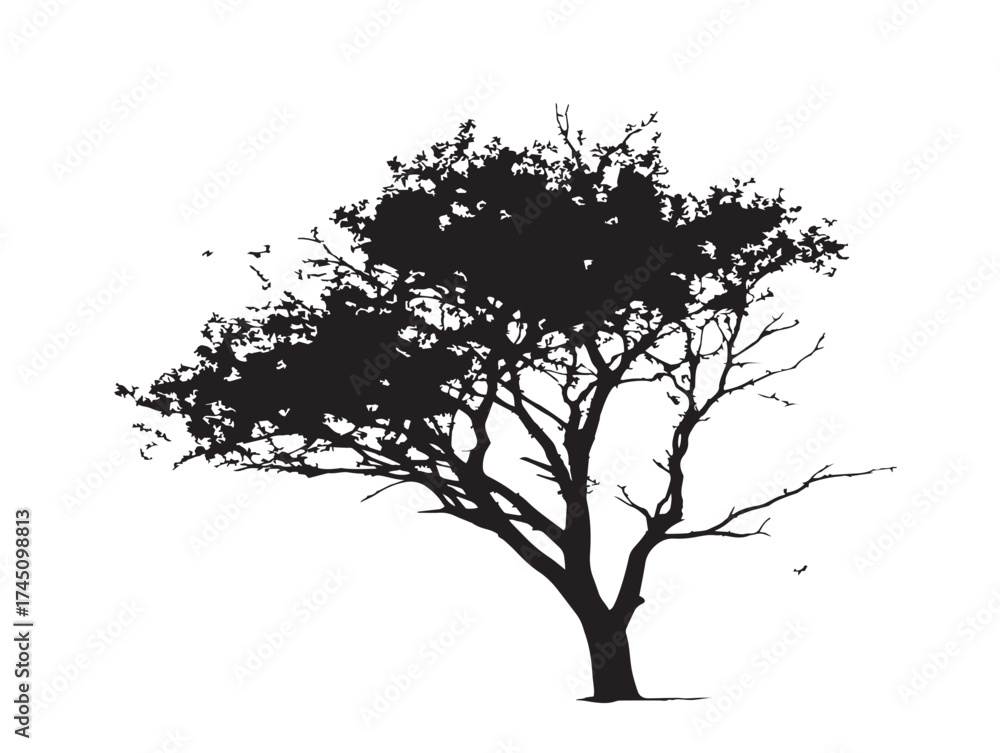 Obraz premium Natural Sparse Foliage Tree 2D Vector Line Illustration for Design 