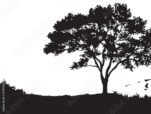 Serene Valley Landscape With Lone Tree Silhouette Vector Line Drawing