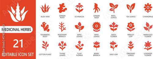 A soothing flat vector icon set representing medicinal herbs, healing plants, and organic remedies. Perfect for apps, websites, presentations, and stock platforms needing natural healthcare visuals.