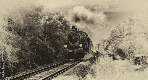 Steam train in the woods, old photo vintage style