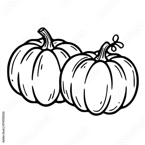 Autumn Pumpkins Line Art Illustration