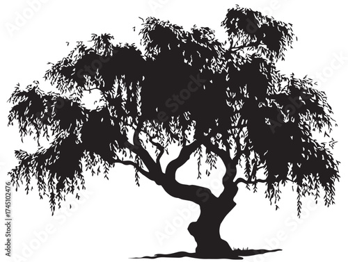 Elegant Twilight Willow Tree 2D Vector Line Art Illustration  