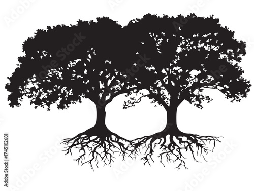 Artistic Twin Trees With Roots 2D Vector Line Art Composition  