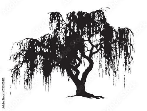 Black Weeping Willow Tree Silhouette Vector Line Art Illustration