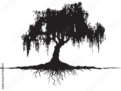 Weeping Willow Tree With Roots Silhouette 2D Vector Line Art Illustration