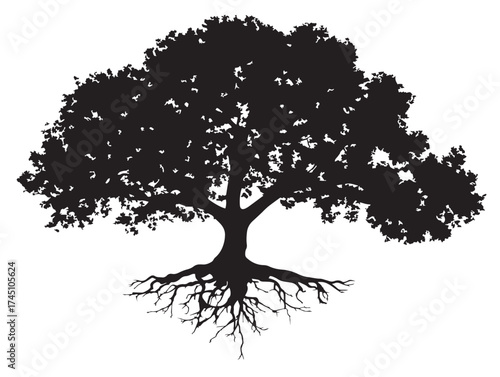 Detailed Wide Tree With Exposed Root Structure Vector Line Art Design