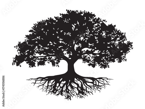 Woodland landscape with spreading roots detailed 2D vector line art