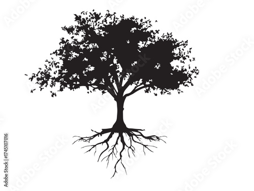 Minimalist young tree with visible roots silhouette vector line art