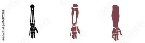 human limbs symbol design