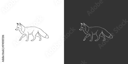 Stylized illustration of a fox walking gracefully against contrasting backgrounds, showcasing its elegance