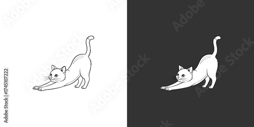 Playful cat stretching gracefully on a contrasting background, showcasing flexibility and energy