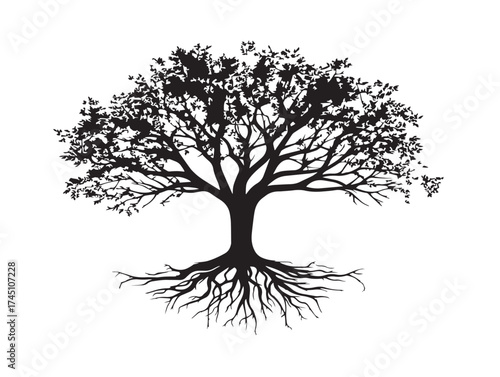 Young tree with spreading roots detailed vector line art silhouette