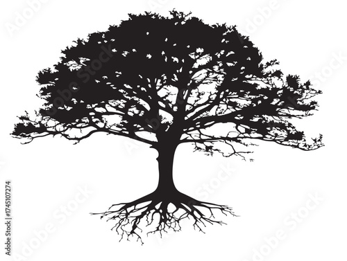 Young tree with extended roots minimalist silhouette vector illustration