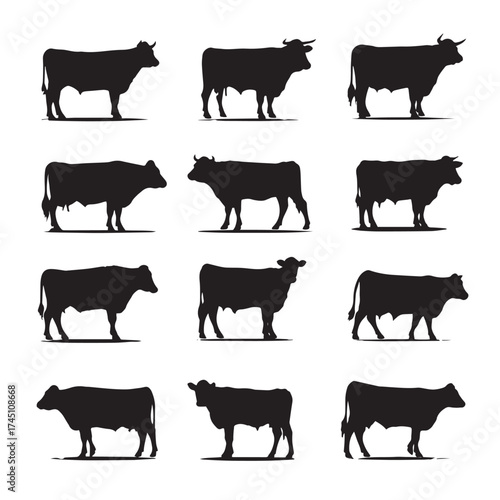 Black and white beef cattle silhouettes collection
