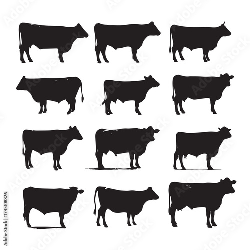 Black and white beef cattle silhouettes collection