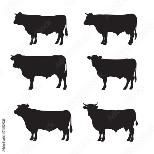 Black and white beef steer silhouettes collection