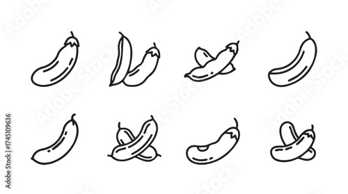 Set of hand drawn eggplant icon collection fresh organic vegetables food ingredient collection isolated elements vector