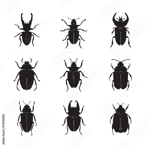 Diverse beetle silhouettes black and white graphic collection